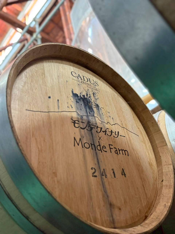 『SINKA-真果-』第三弾！自社栽培シャインマスカット納品！