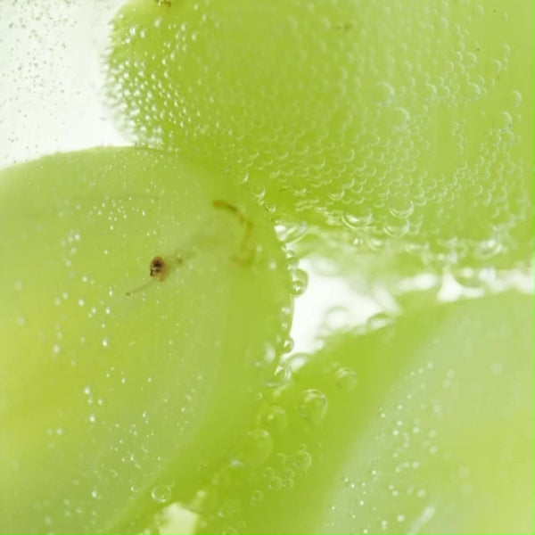 テイスティングへ…！【 第三弾 2025年生産 SINKA 】