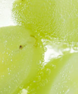 ~新登場~ 数量限定！急速真空冷凍 -SINKA SHINEMUSCAT-