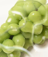 ~新登場~ 数量限定！急速真空冷凍 -SINKA SHINEMUSCAT-