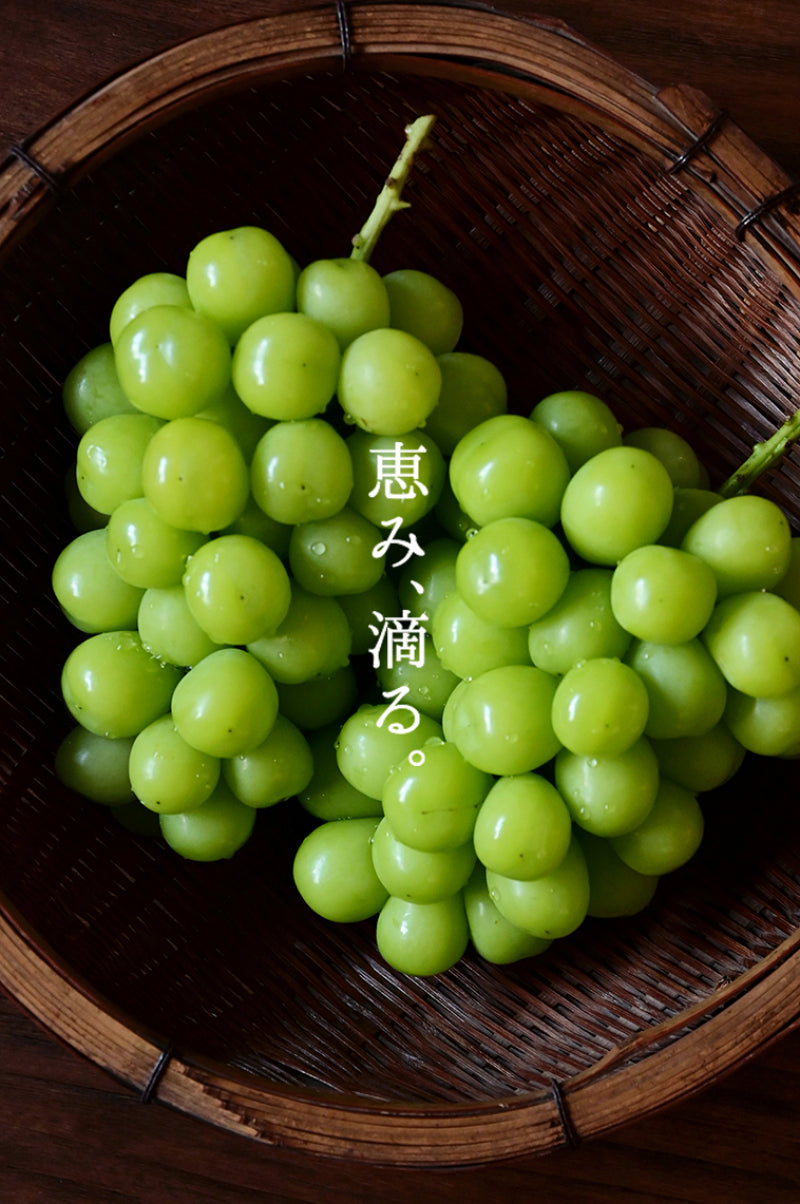 SINKA-真果-しんか (シャインマスカットスパークリングワイン) – SINKA 